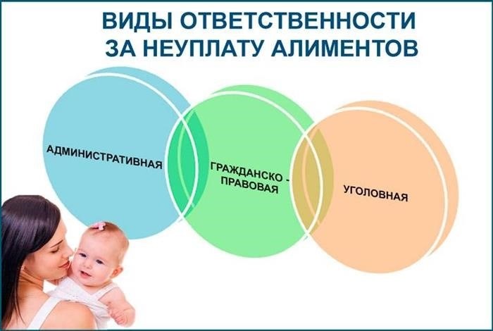 Ответственность за неоплату питания