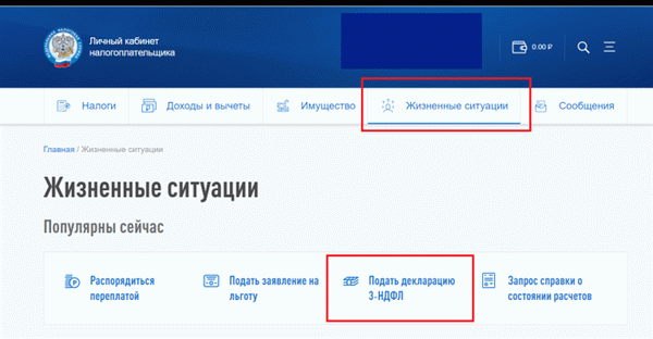 Как заполнить полную декларацию 3-НДФЛ в личном кабинете