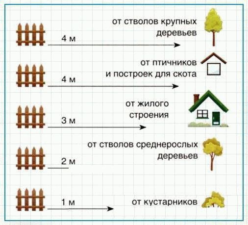 Расстояние от забора до деревьев