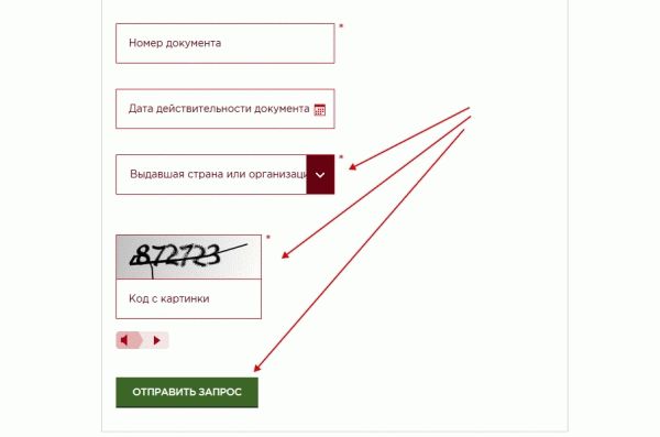 FM; Паспортный контроль СНГ. Ввод имени и фамилии. Отправьте запрос на проверку паспорта.