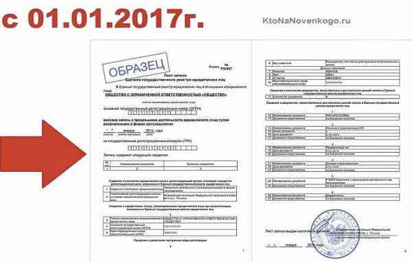 Как будет выглядеть мое свидетельство с 2017 года?