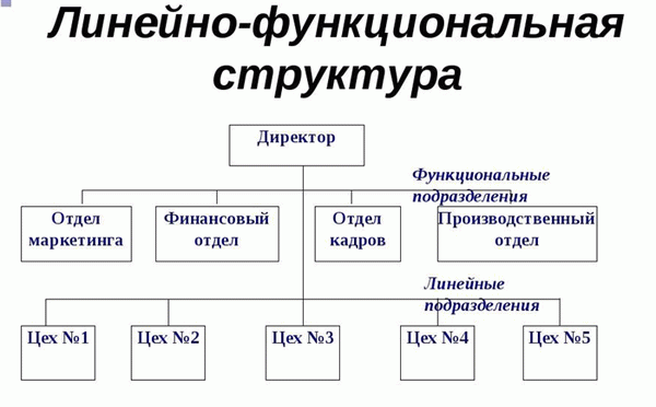 Линейно-функциональная структура