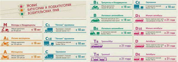 Какая буква стоит на водительском удостоверении?