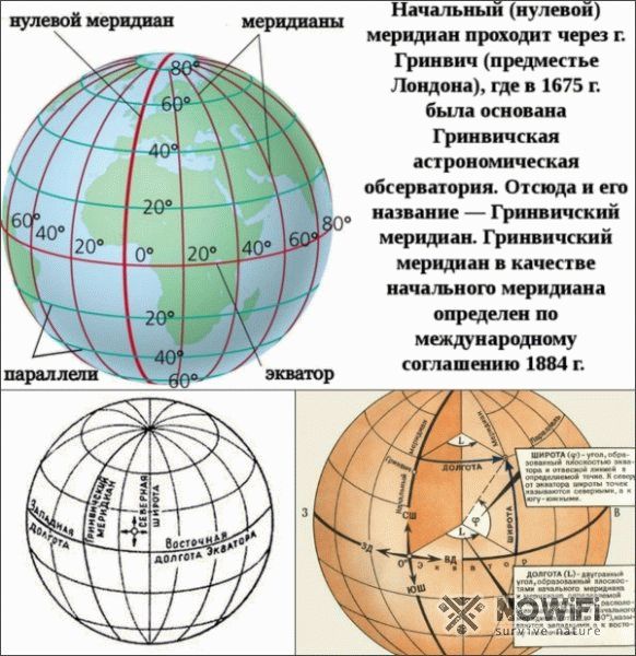 Такая фуза