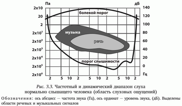 Основным характеристикам человеческого слуха.