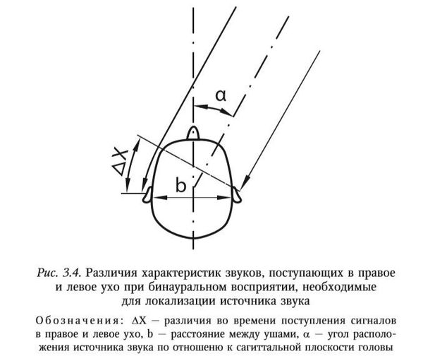 Основным характеристикам человеческого слуха.