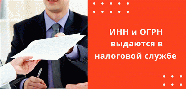 Налогоплательщики должны обратиться в налоговую службу для получения регистрационного номера налогоплательщика и ОГРН, но эти документы имеют разное назначение