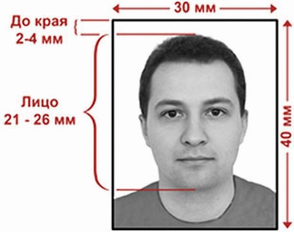 Фотографии для военного удостоверения