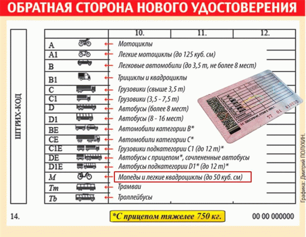 Категории водительских прав на мопед или скутер