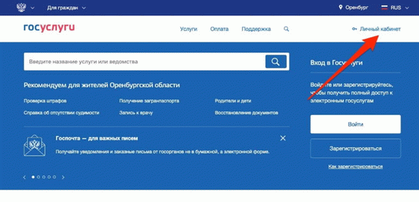 Скачать информацию на госуслугах