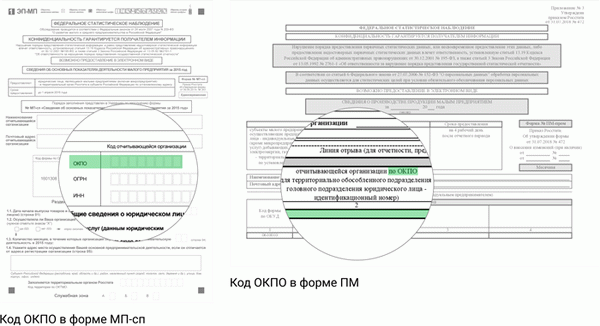 Коды ОКПО в форме статистического отчета