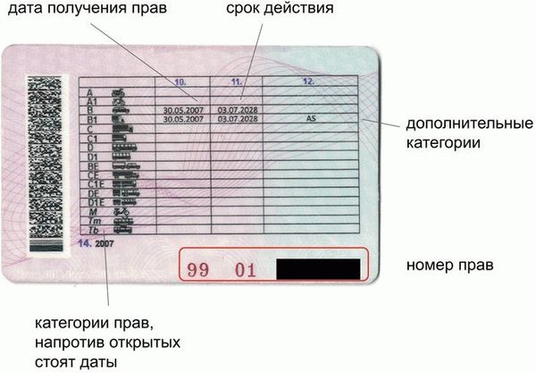 На задней части - информация об открытых категориях и многочисленных водительских удостоверениях. Отметка о допуске водителей к управлению автомобилем с сиденьем и рулем, похожим на автомобильный